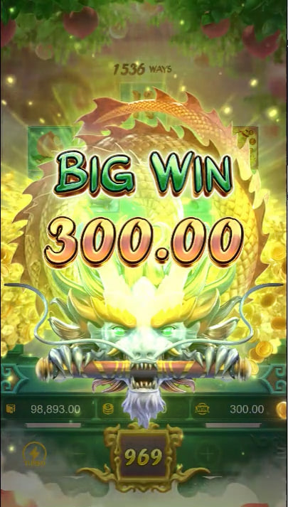 winnerzon