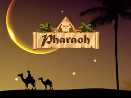 Ivibet plataforma