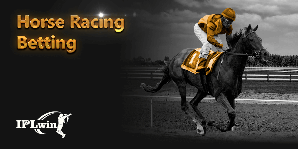 betlive